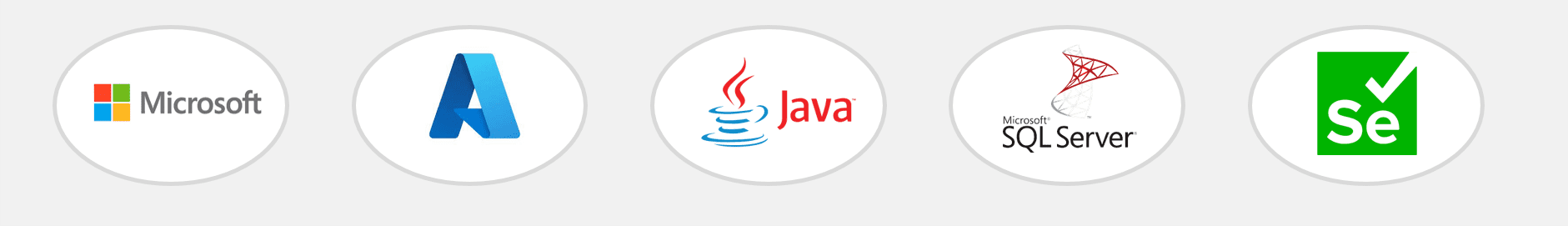 Software Logo 1