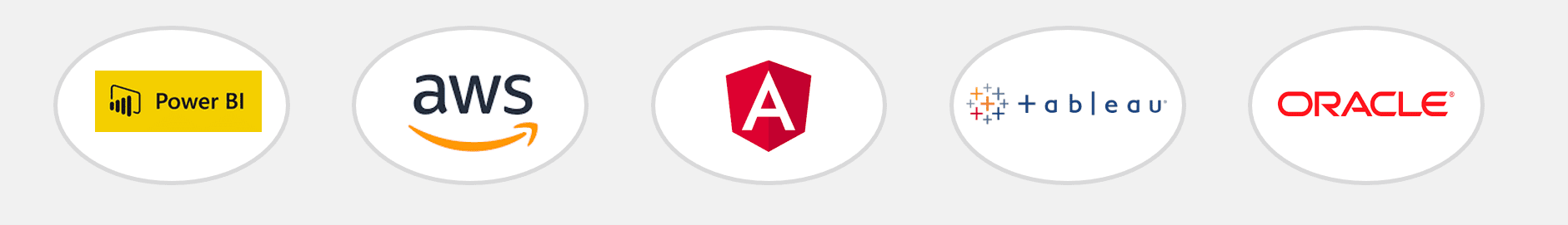 Software Logo 2